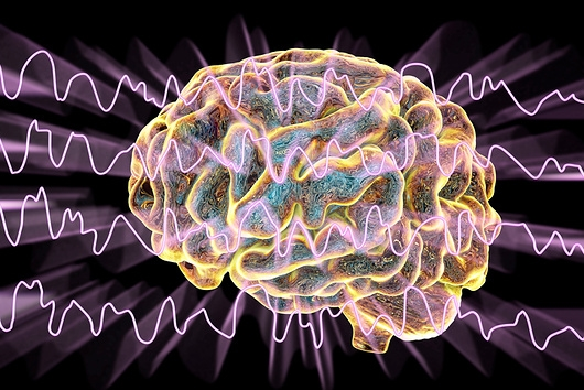 Brain EEG waves