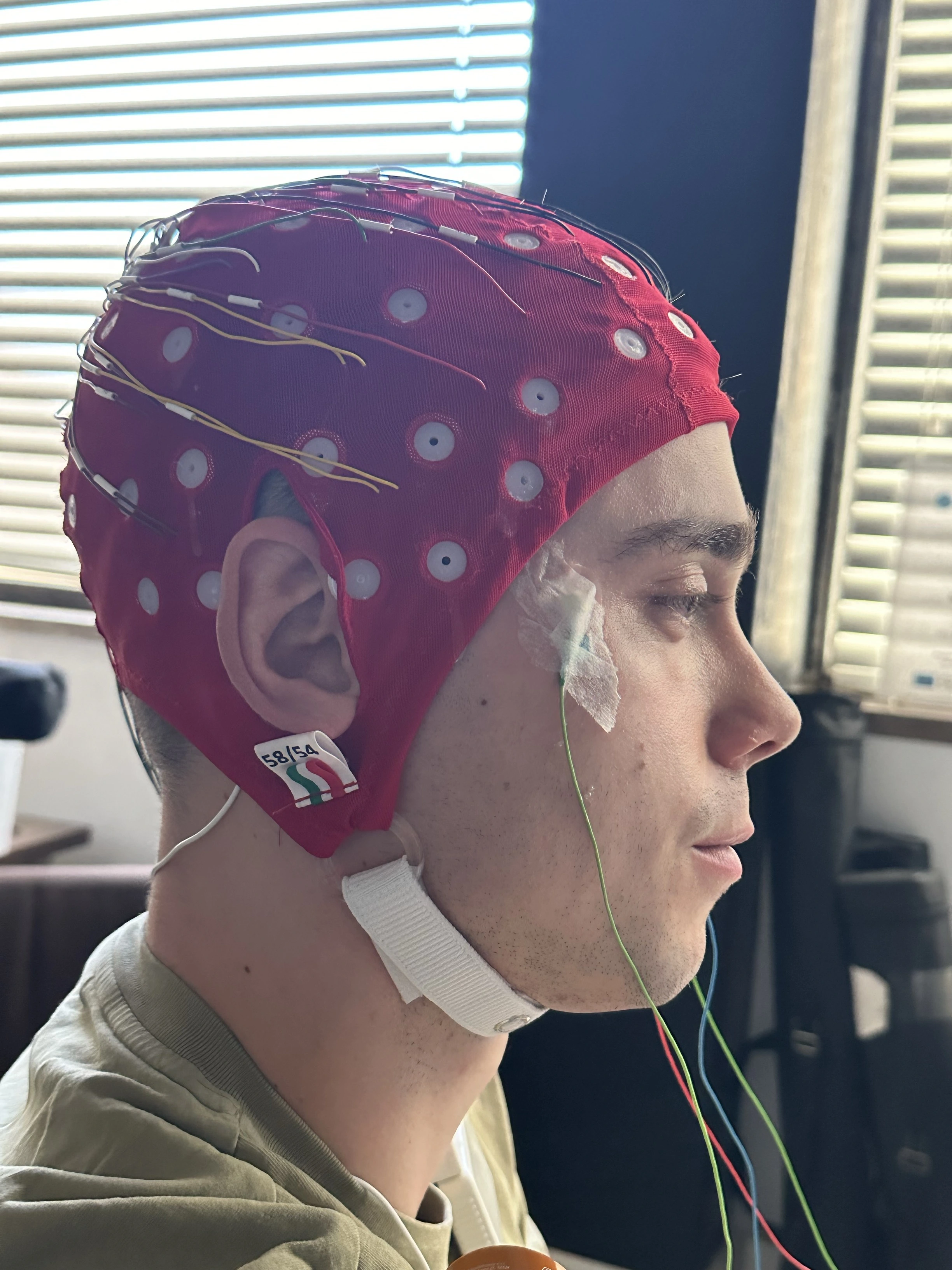 EEG on Leon